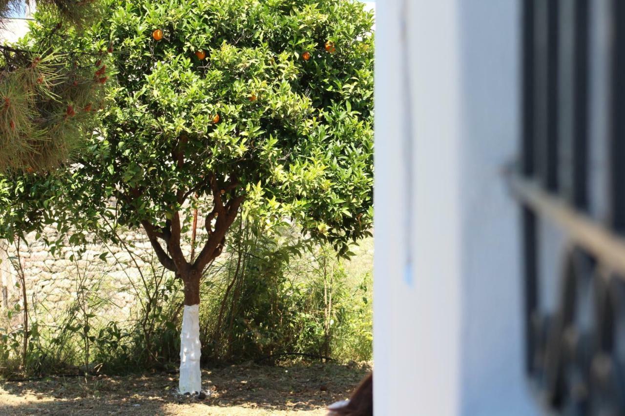 Orange Garden Βίλα Αίγιο Εξωτερικό φωτογραφία