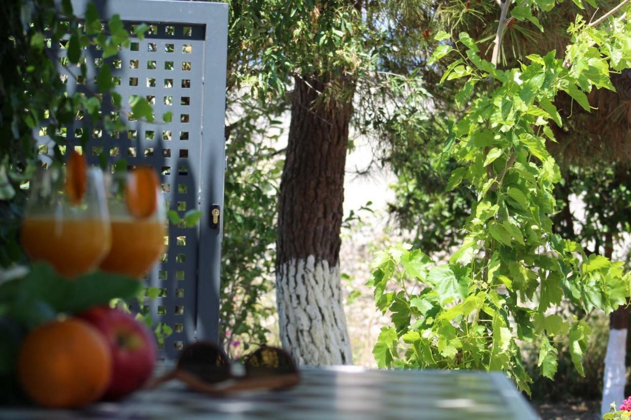 Orange Garden Βίλα Αίγιο Εξωτερικό φωτογραφία